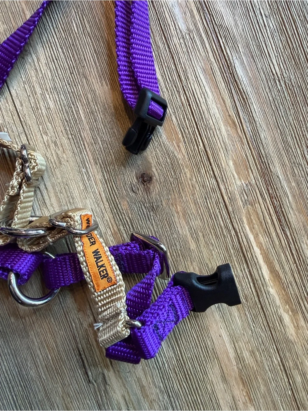 Wonder Walker Dog Harness Purple XS